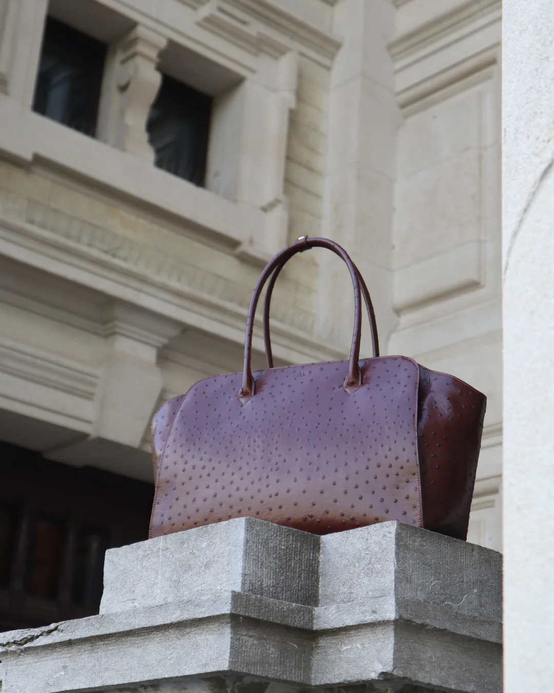 Voyager - ostrich chocolate brown - Image 6